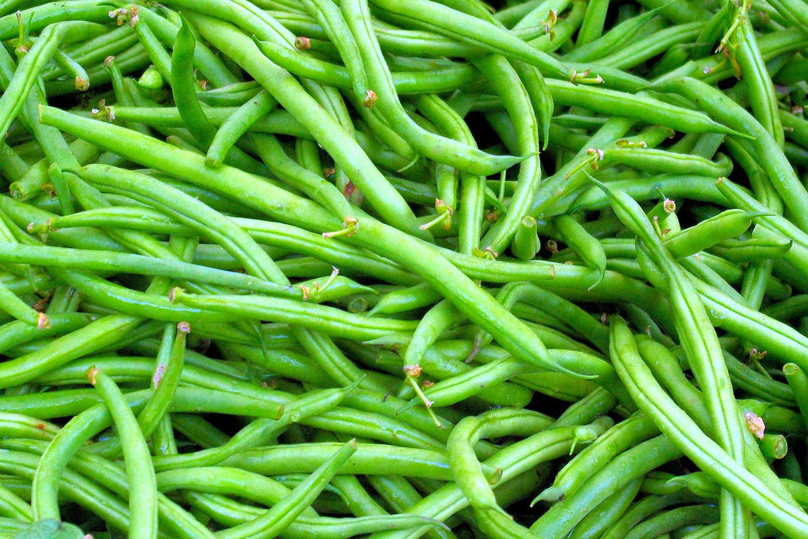 haricots verts