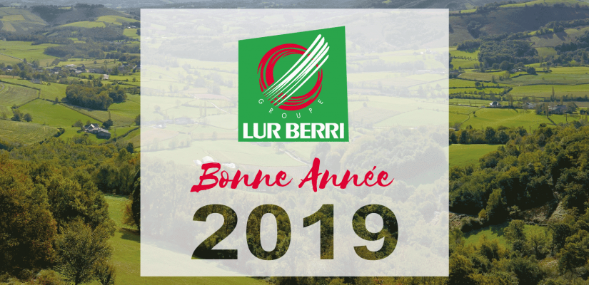 bonne annee 2019