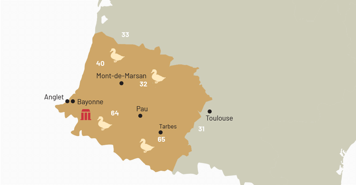 Carte palmipèdes