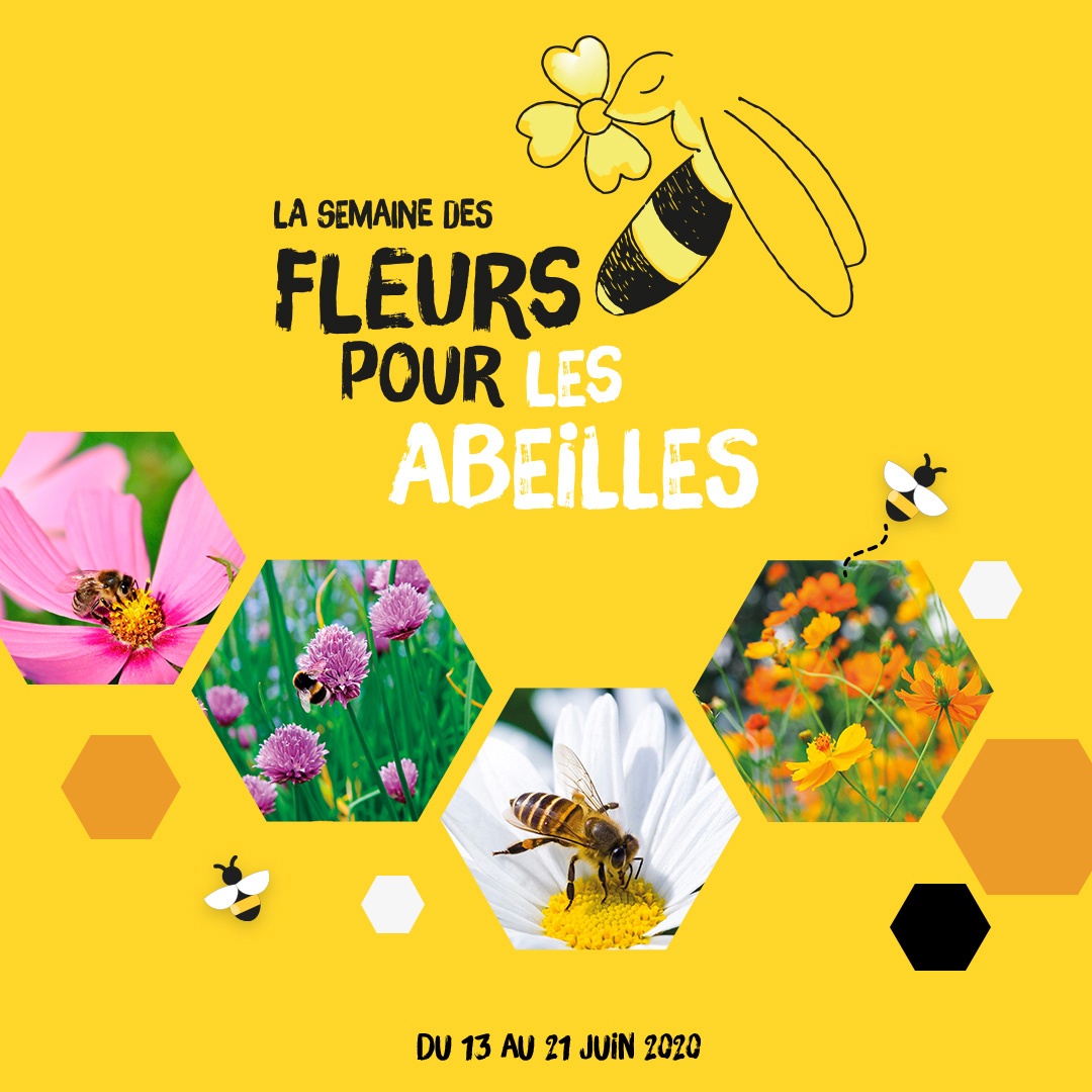 La Semaine des fleurs pour les abeilles
