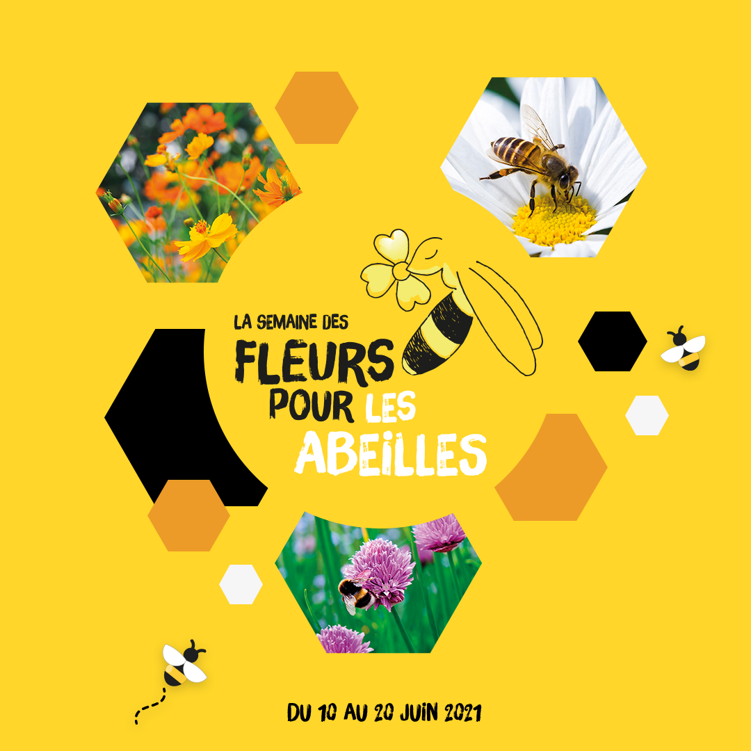 La Semaine des fleurs pour les abeilles 2021