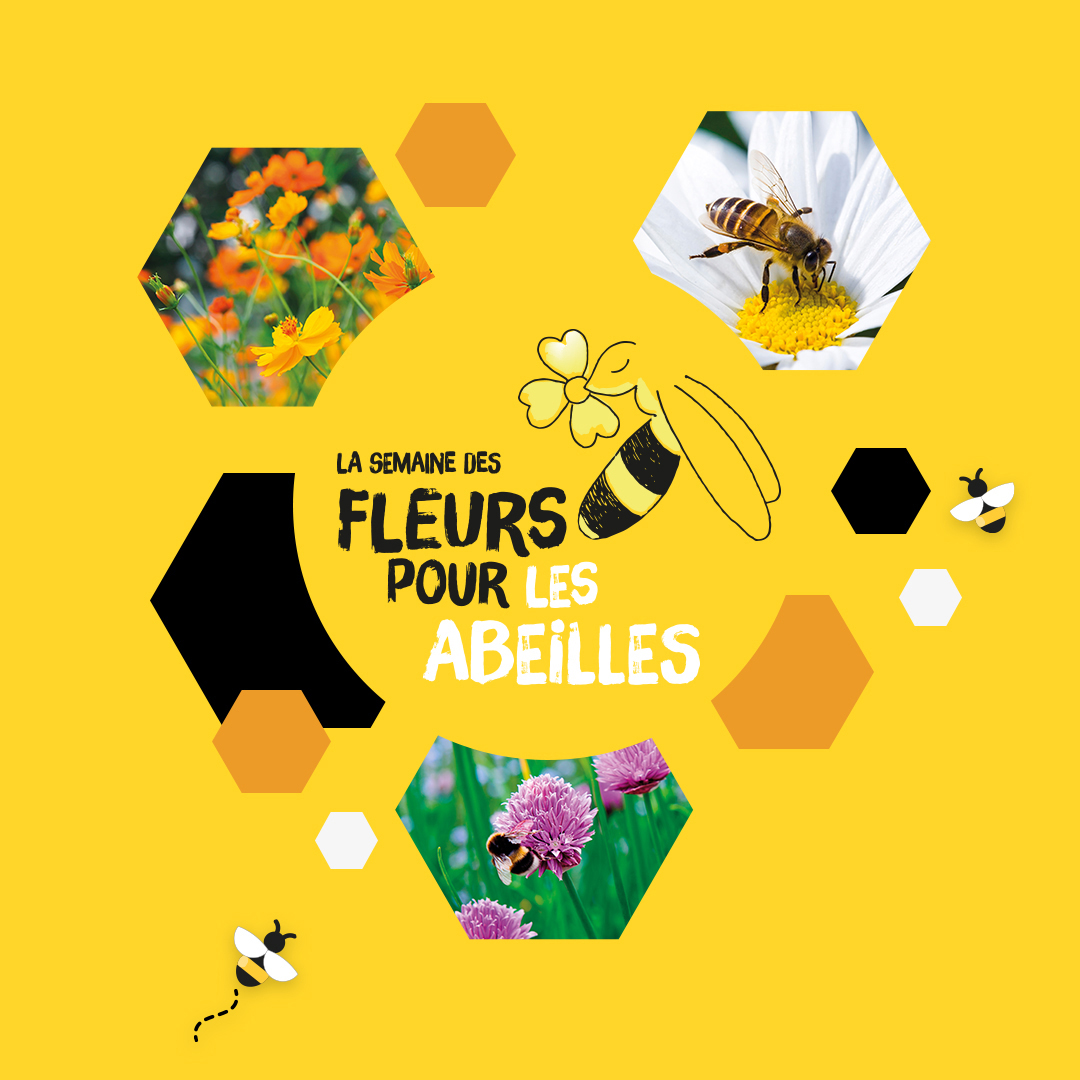 La Semaine des fleurs pour les abeilles 2022
