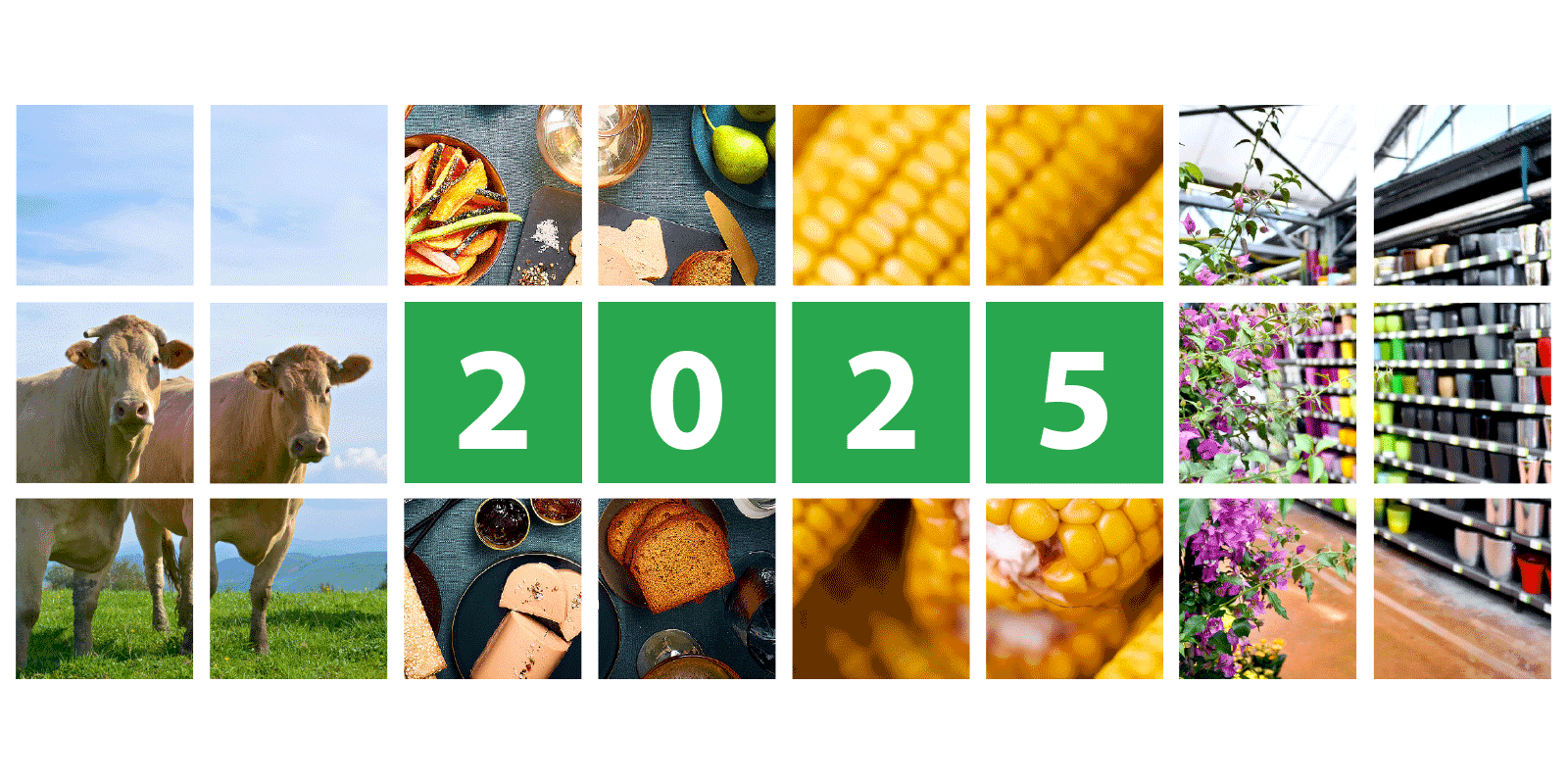 Bonne année 2025 !